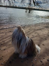 ..Spazierg&auml;nge am Rhein